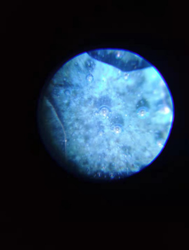 1624951716436325.png image.png