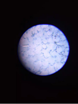 1624951774161393.png image.png