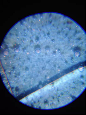 1624951836601324.png image.png